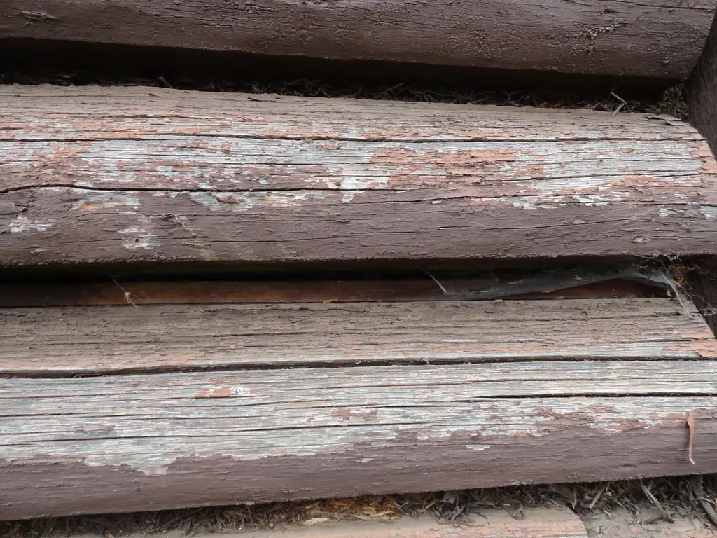 Log home