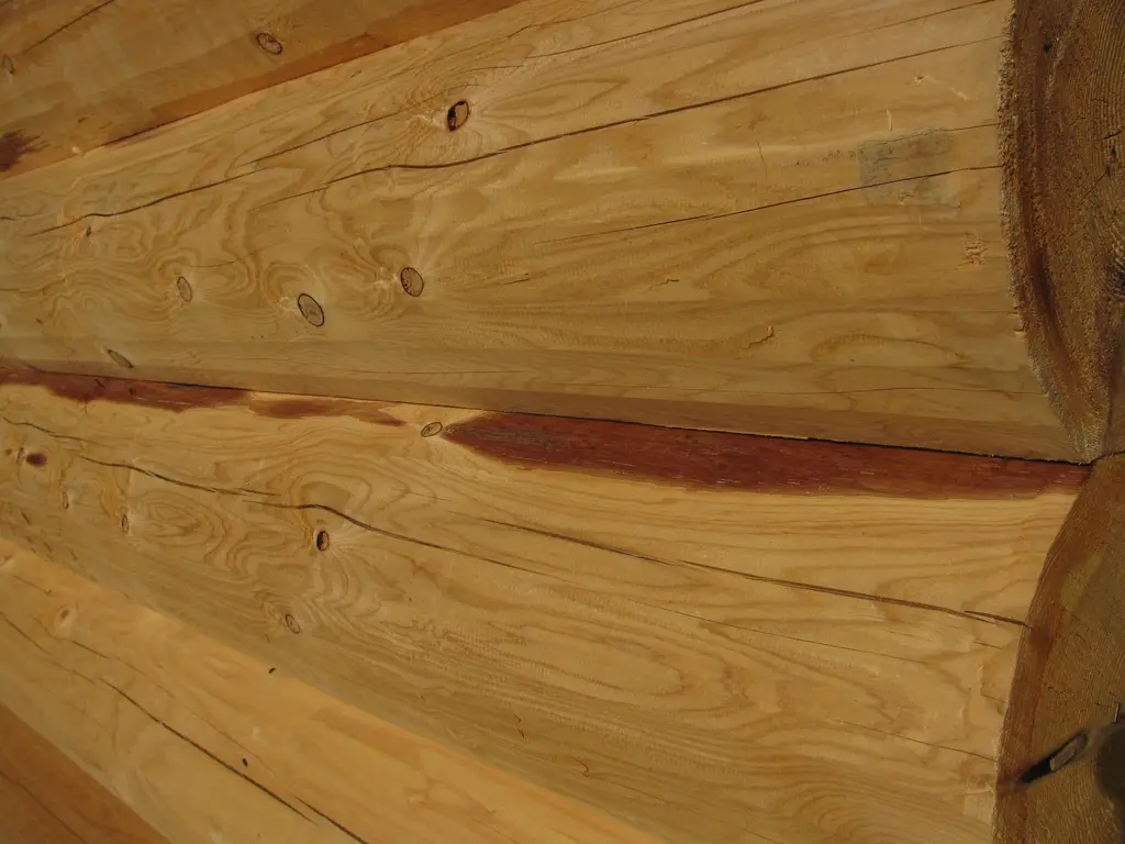 Log home