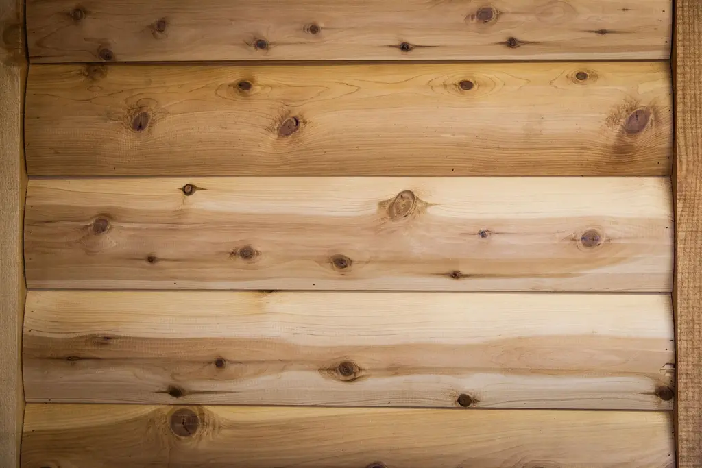 Log home