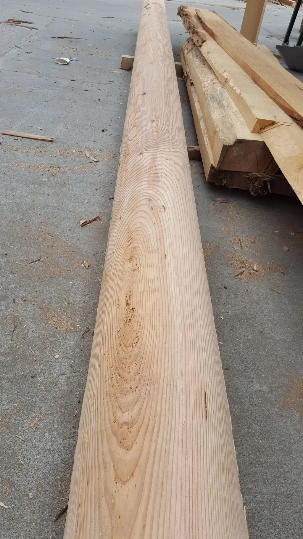 Log home