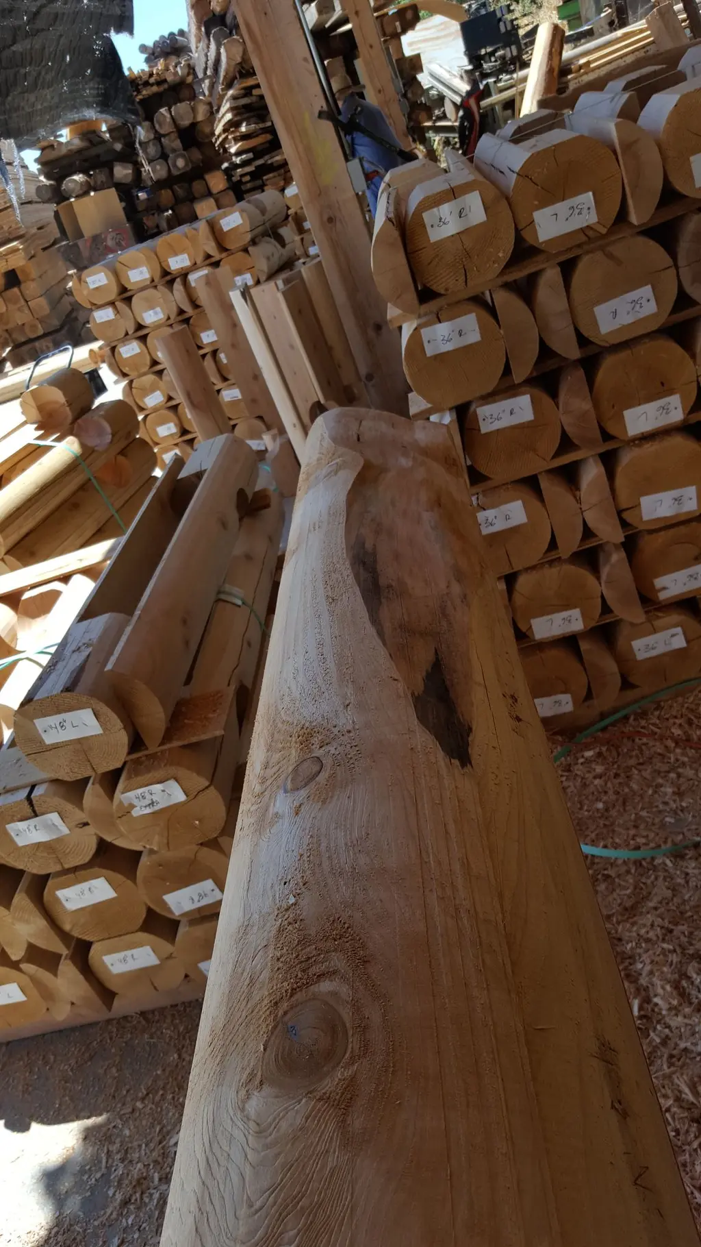 Log home