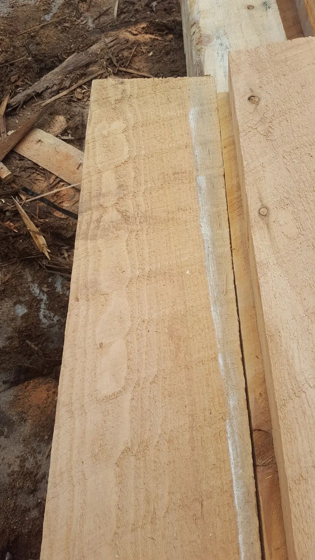 Log home