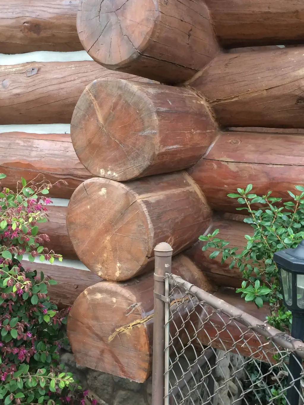 Log home