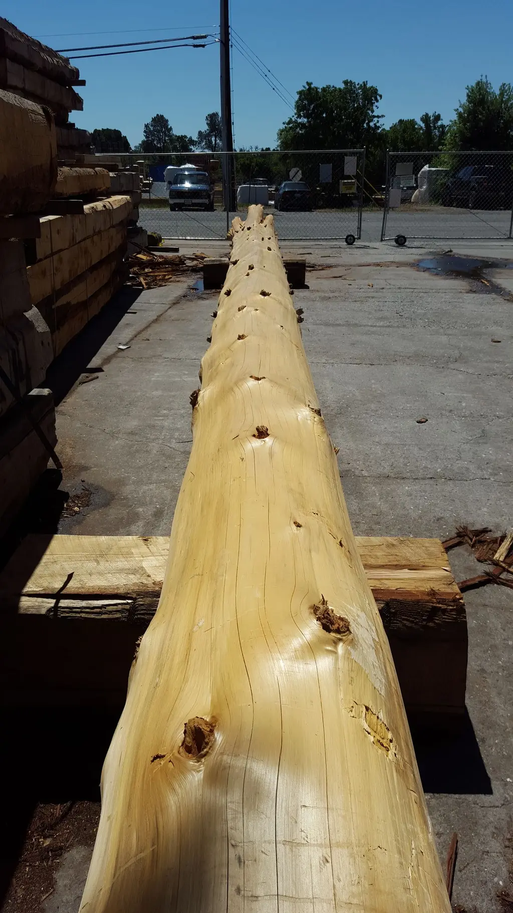 Log home