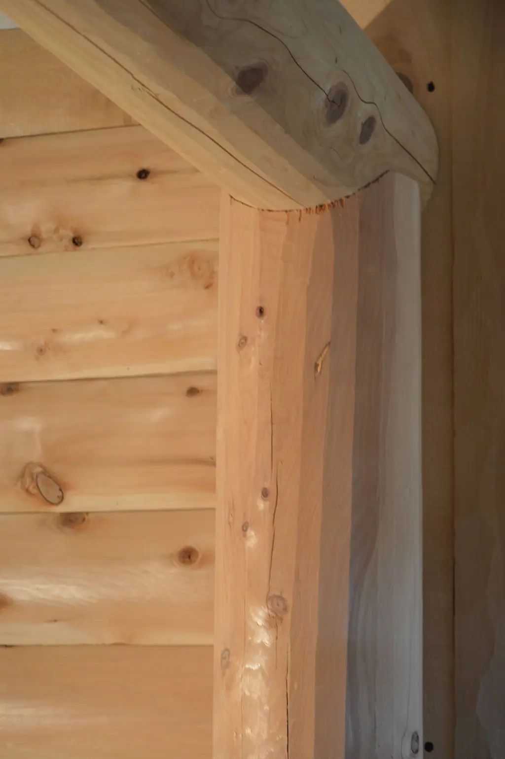 Log home