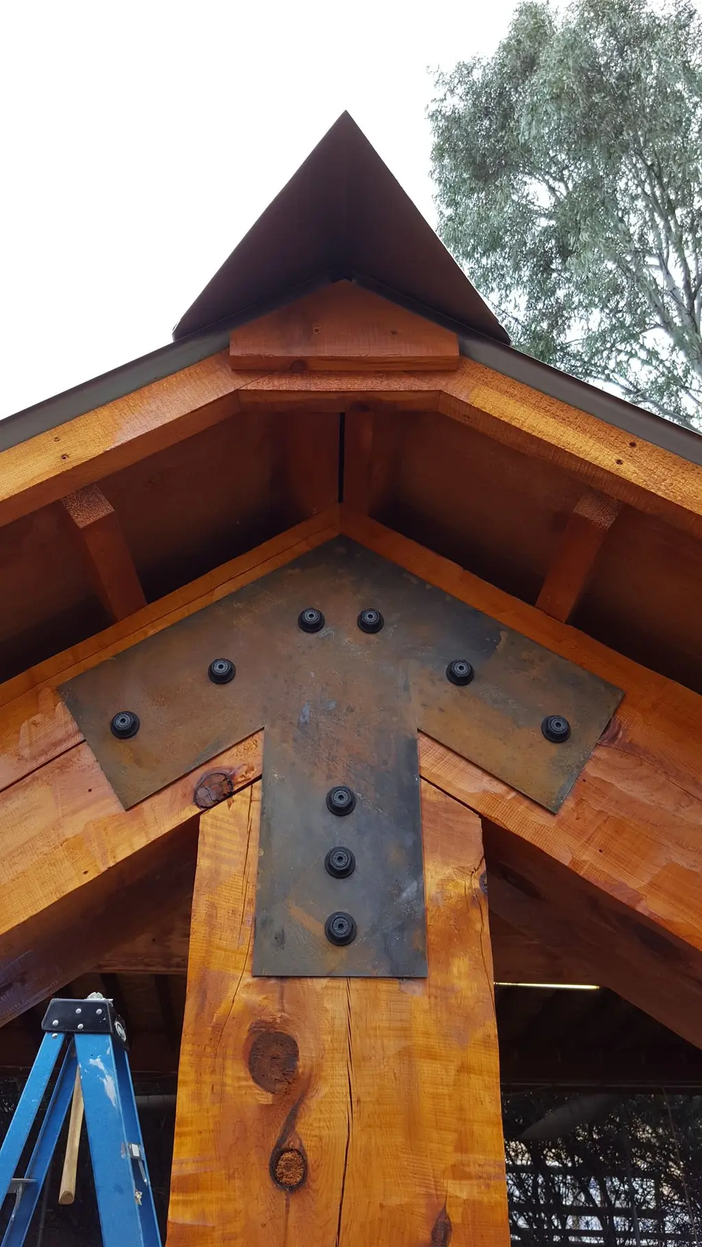 Log home