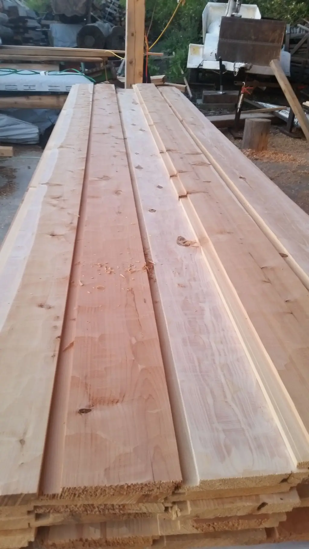 Log home