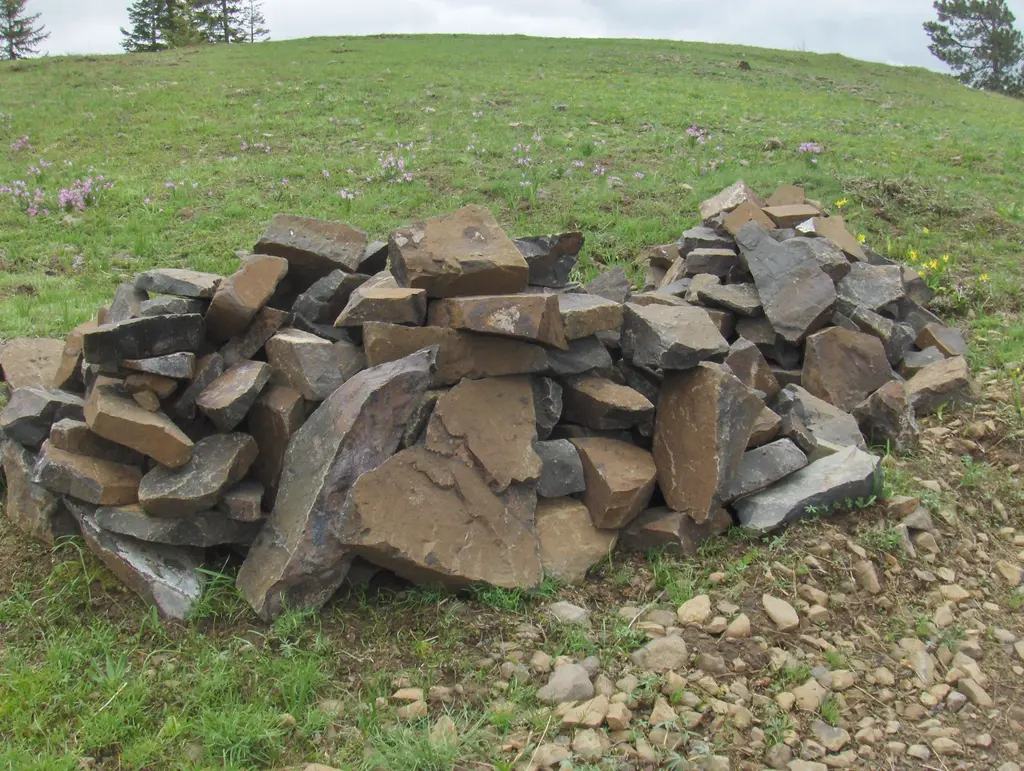 Log home
