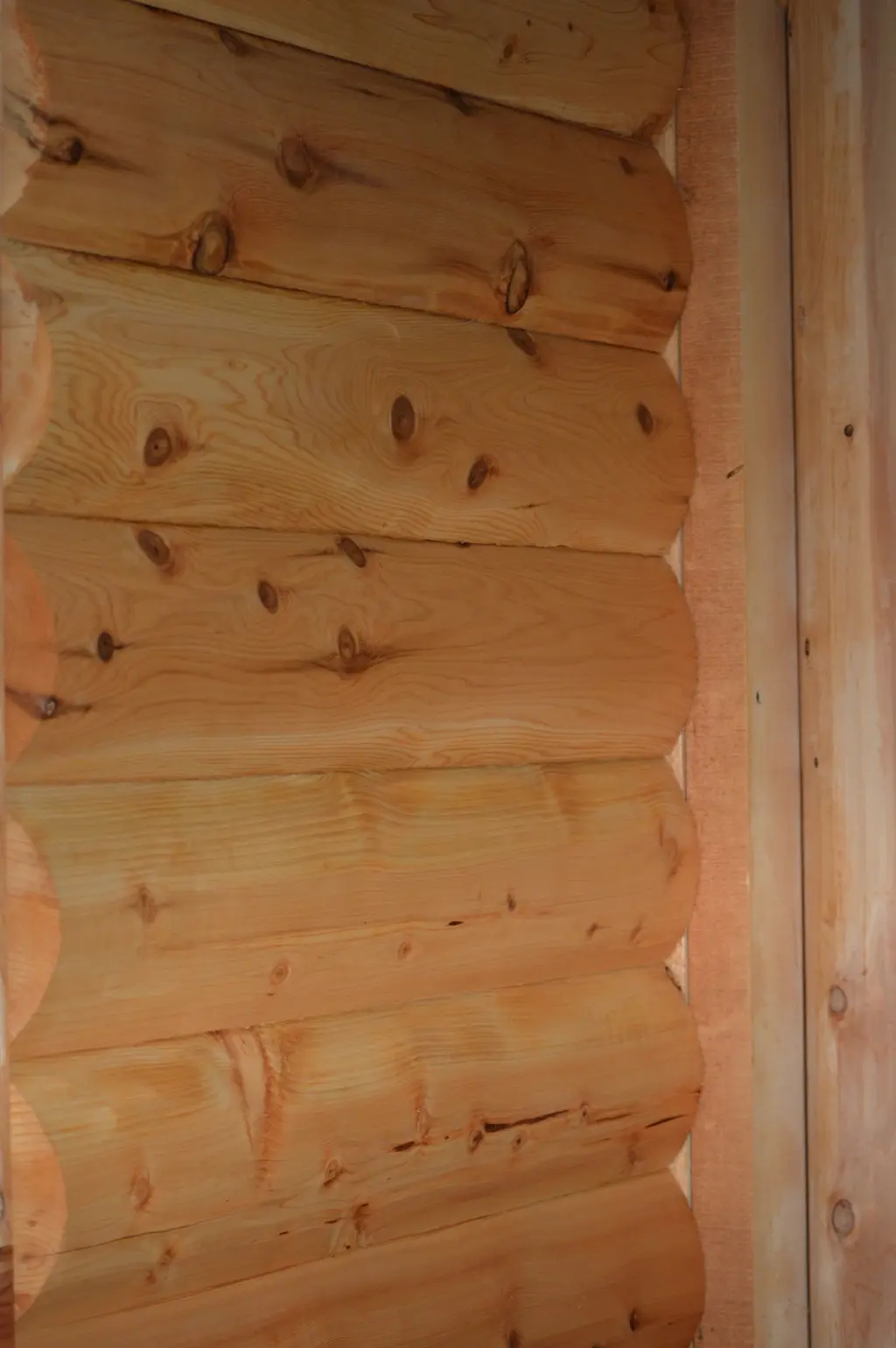 Log home