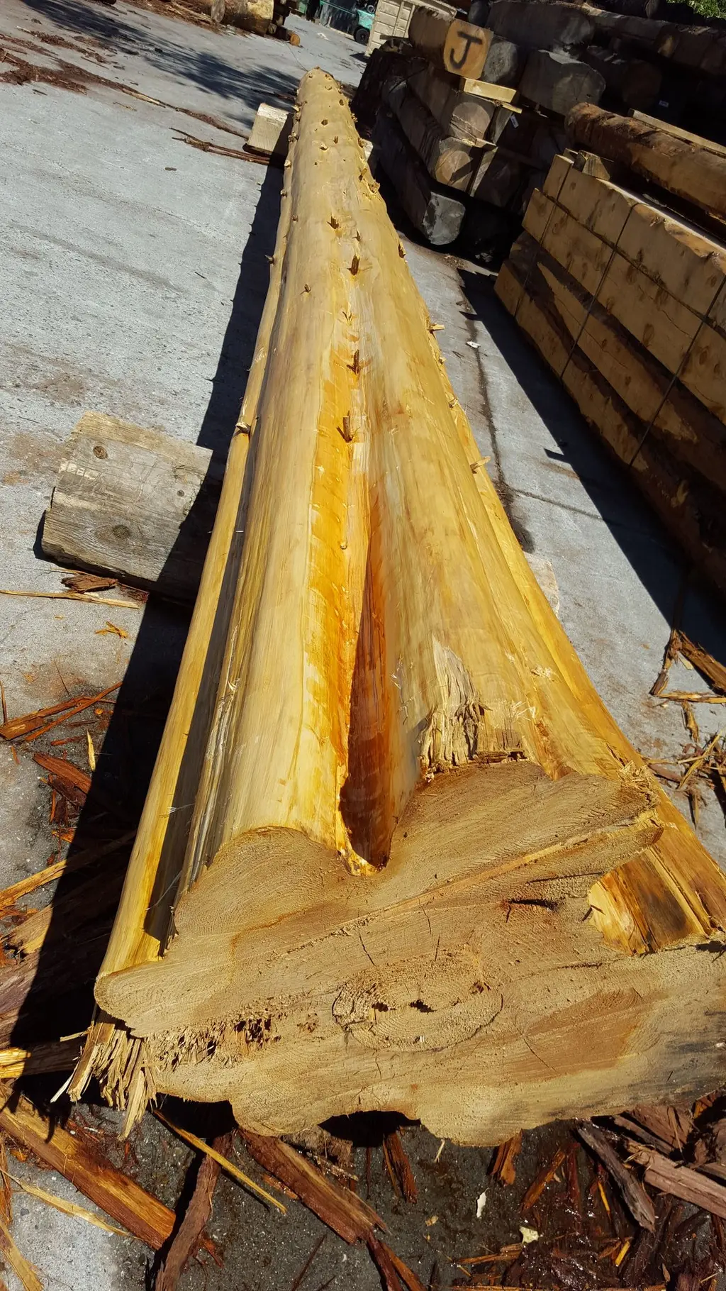 Log home