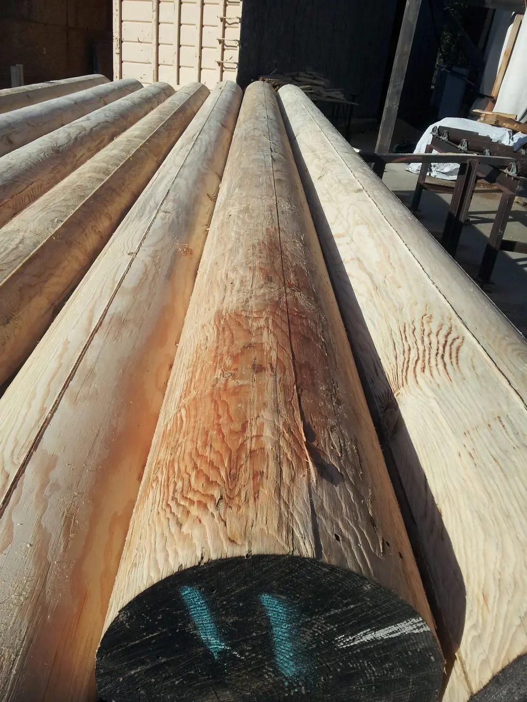 Log home