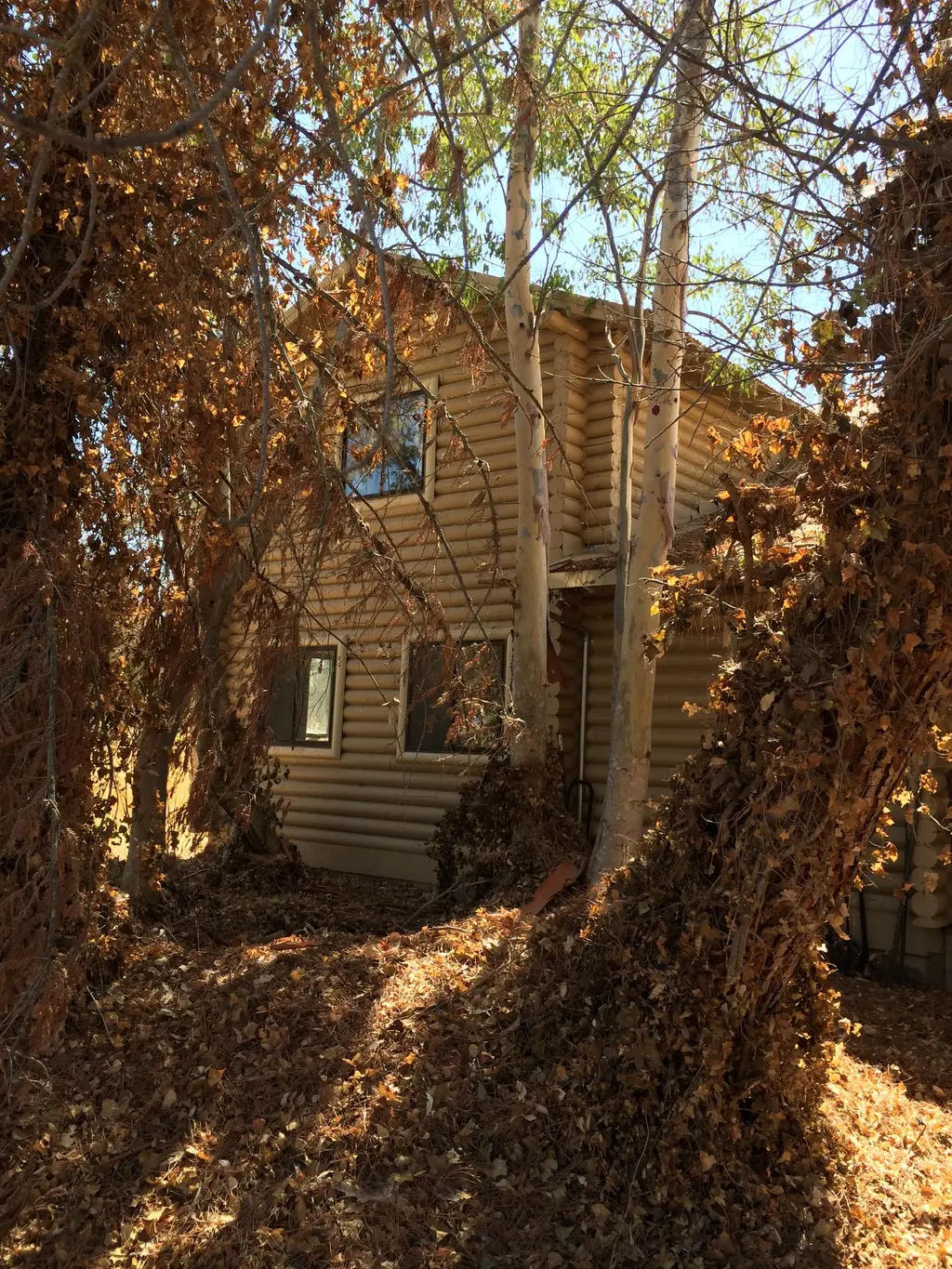 Log home
