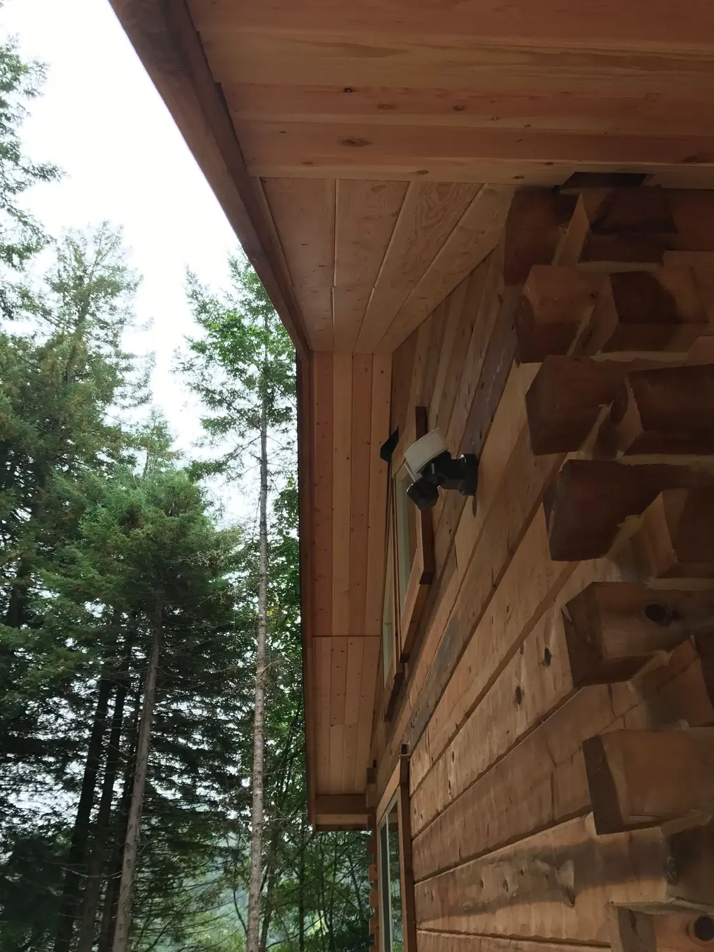 Log home