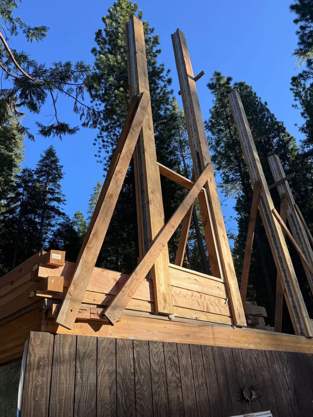 Log home