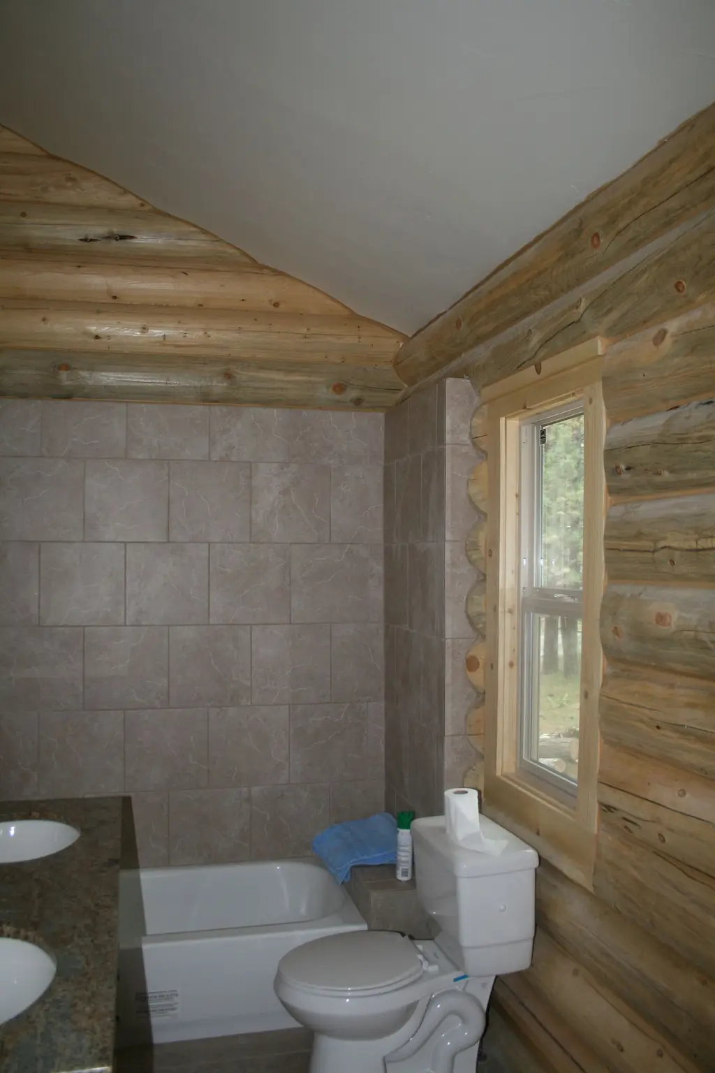 Log home