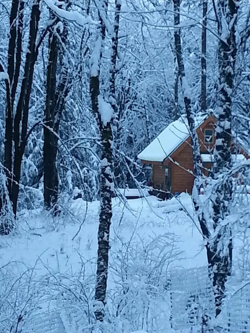 Log home