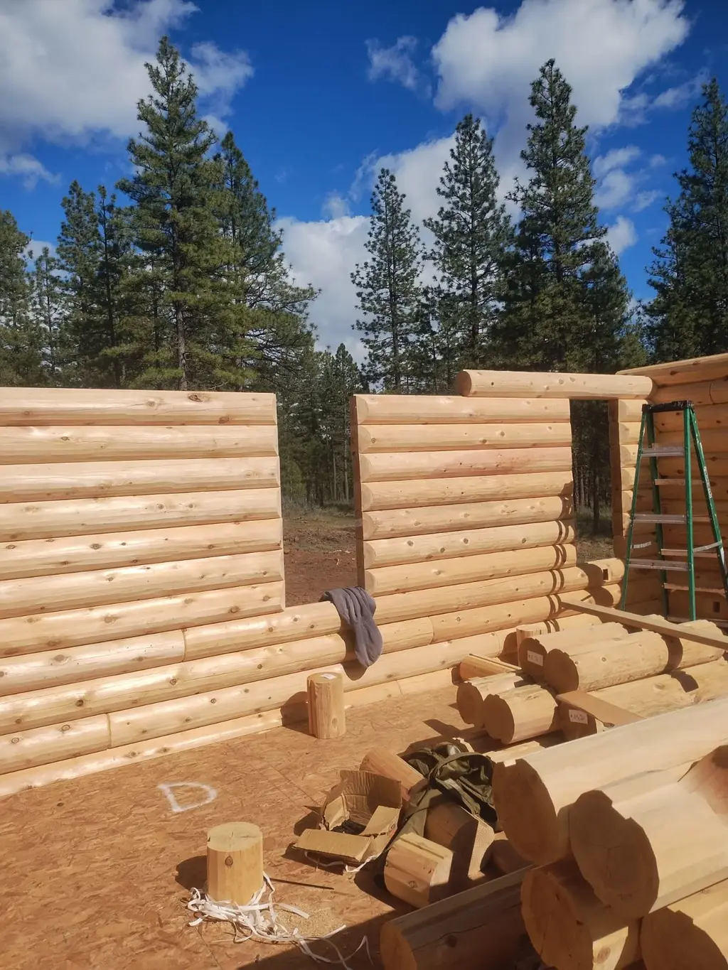 Bearbones Ranch