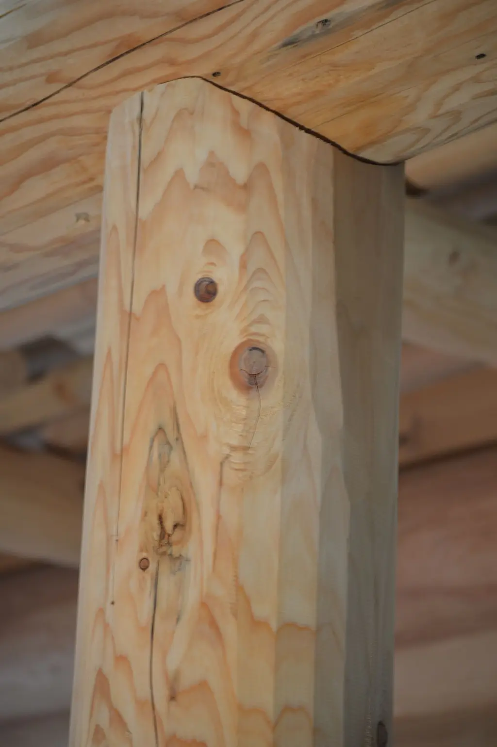 Log home