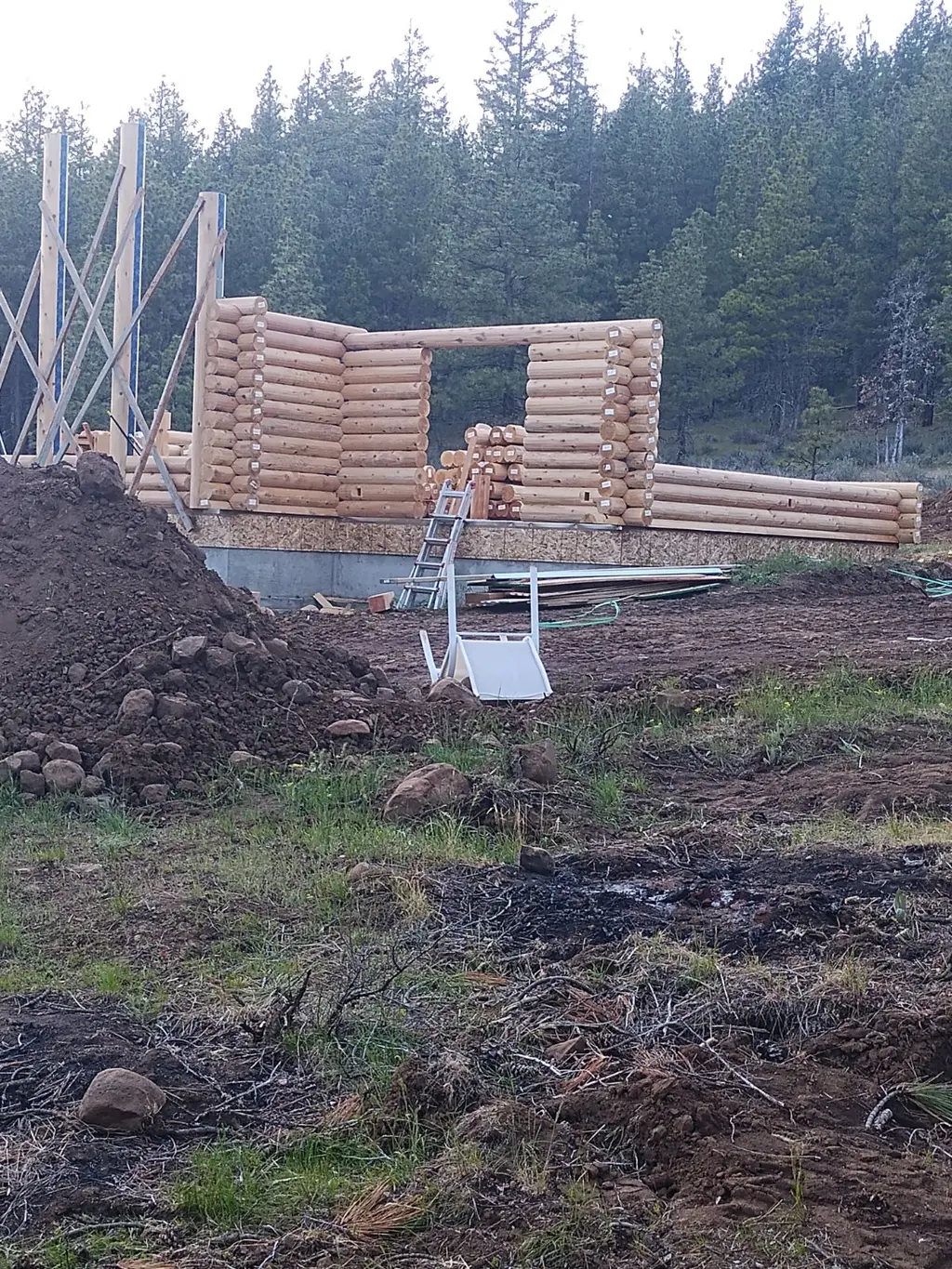 Bearbones Ranch