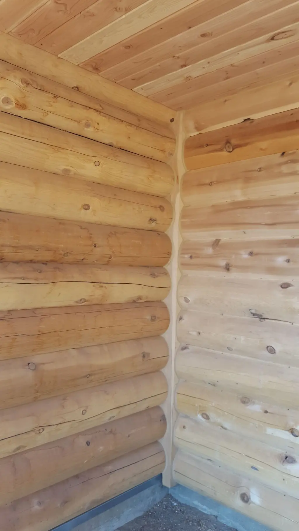 Log home