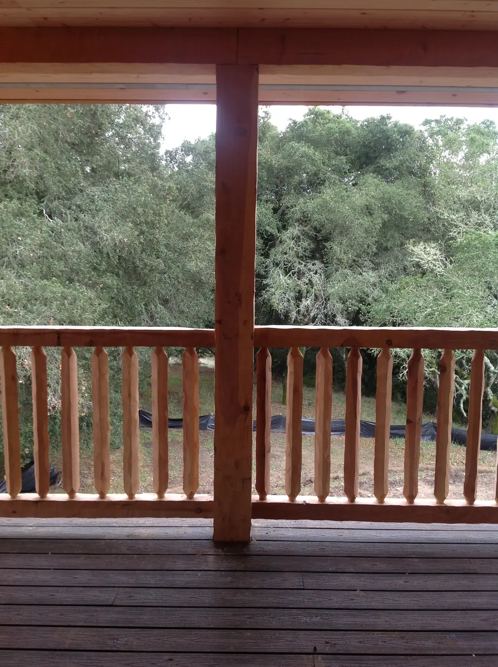 Log home