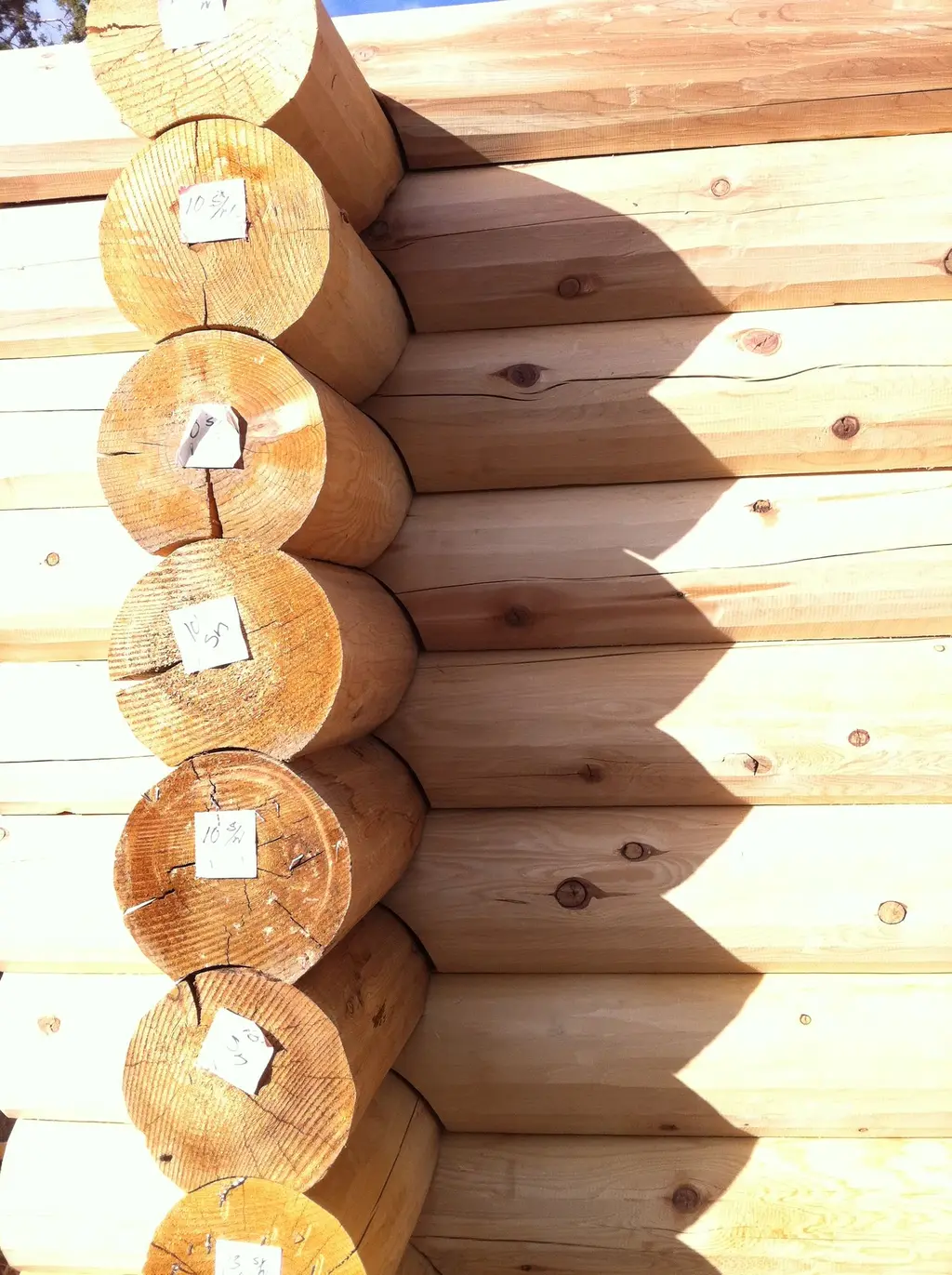 Log home