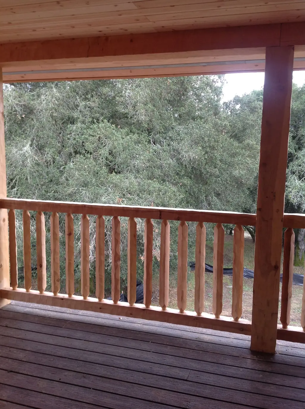 Log home