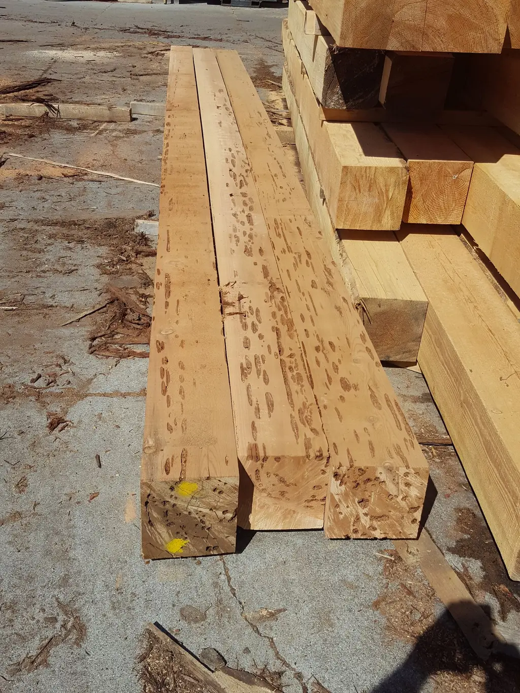 Log home