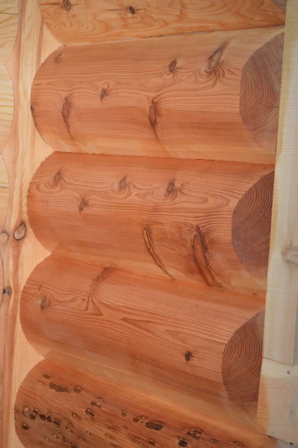 Log home