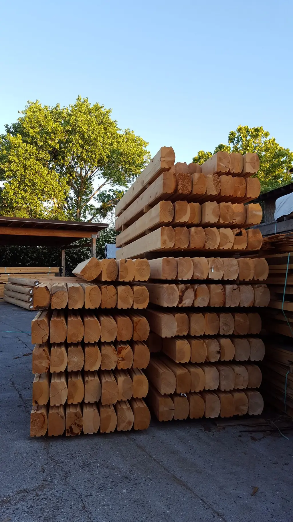Log home