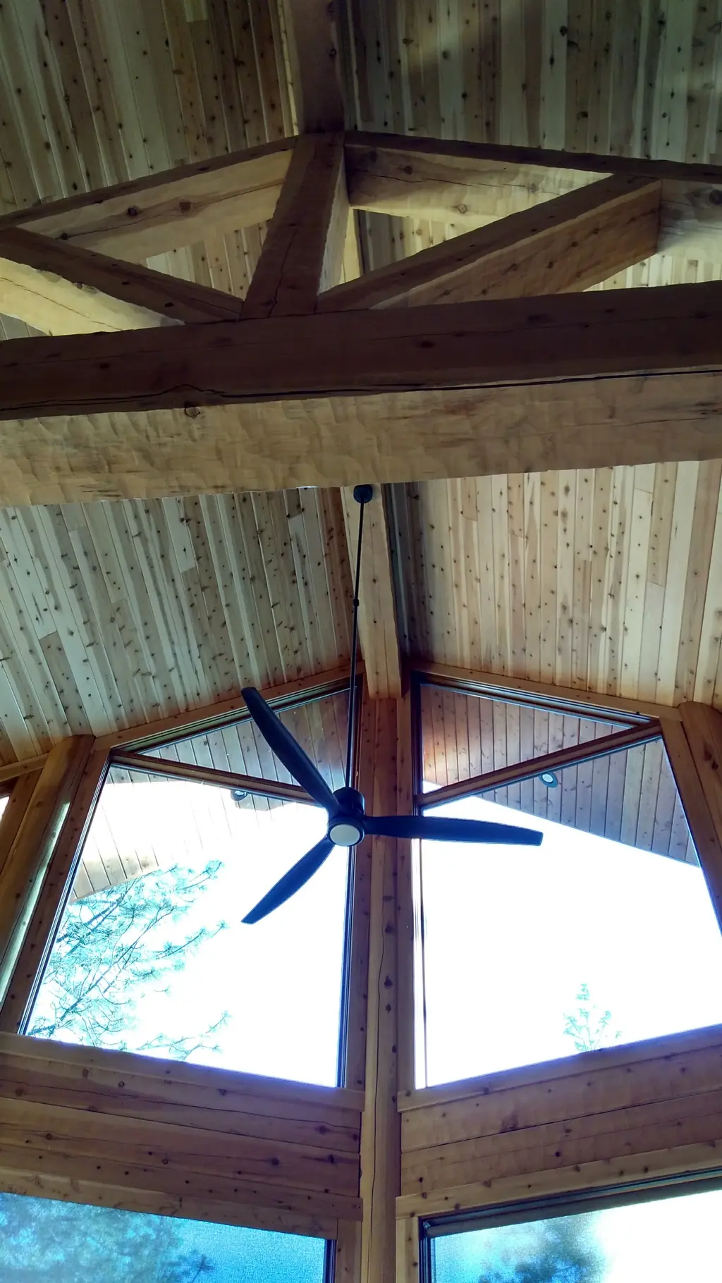 Log home
