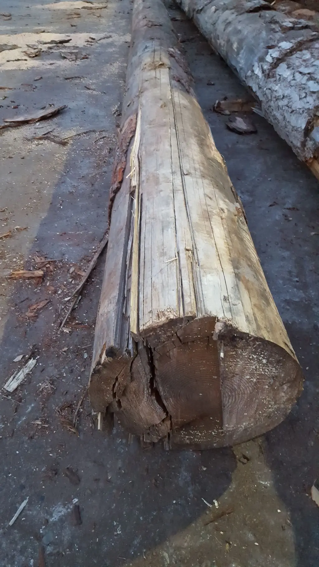 Log home