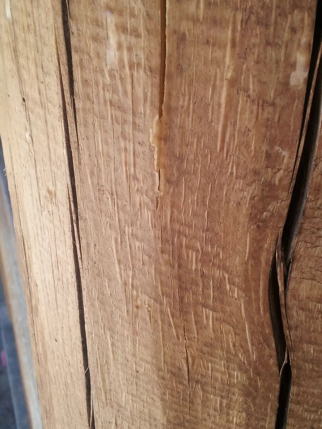 Log home