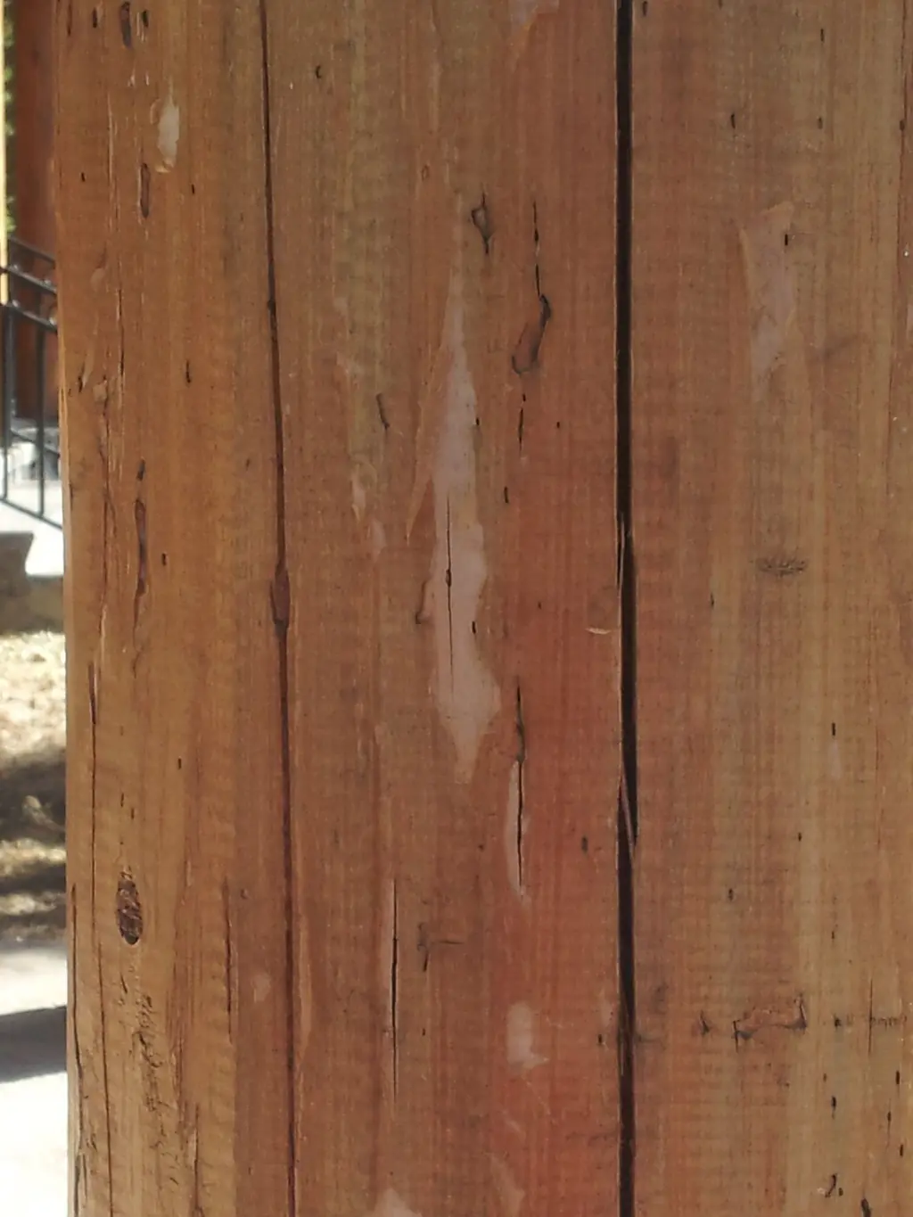 Log home