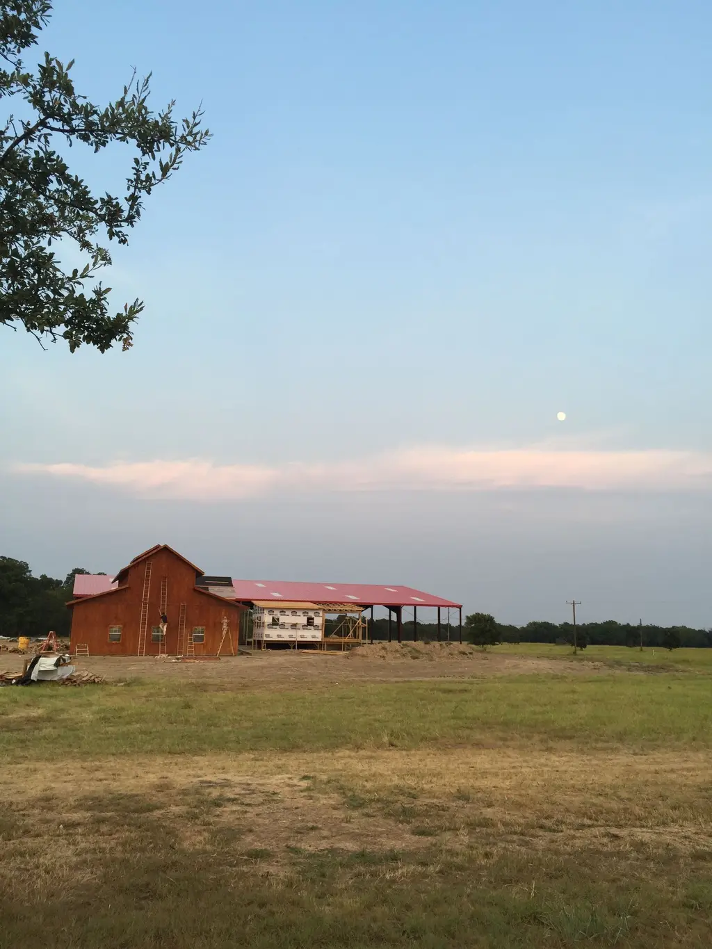 Log home