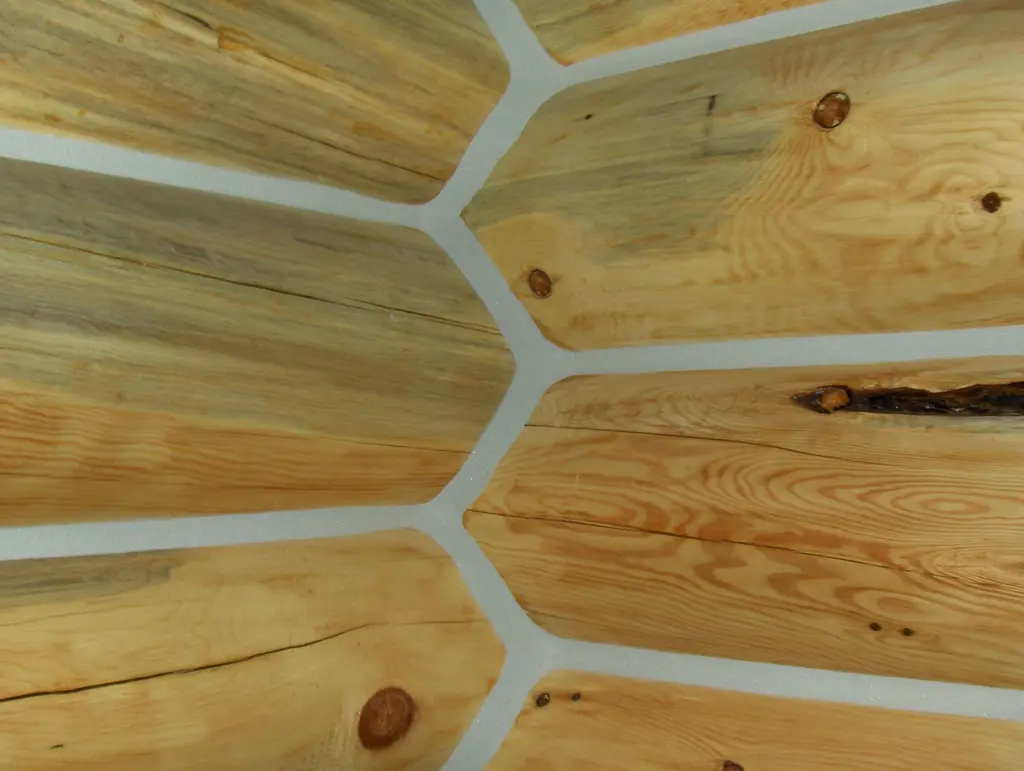 Log home