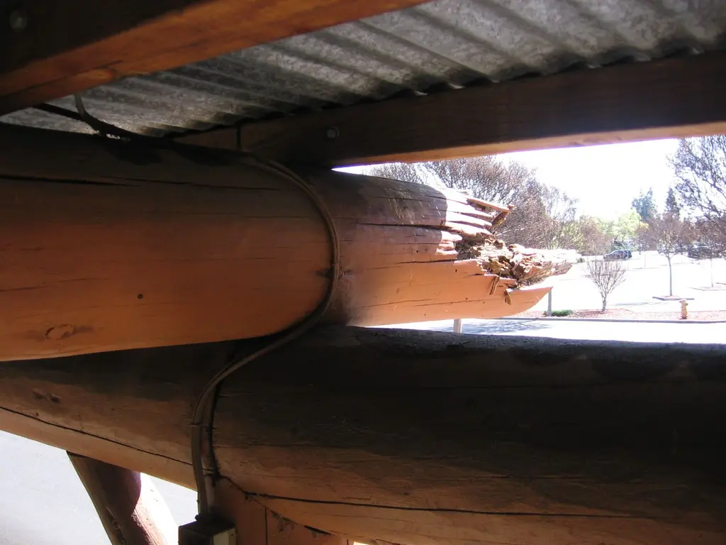 Log home