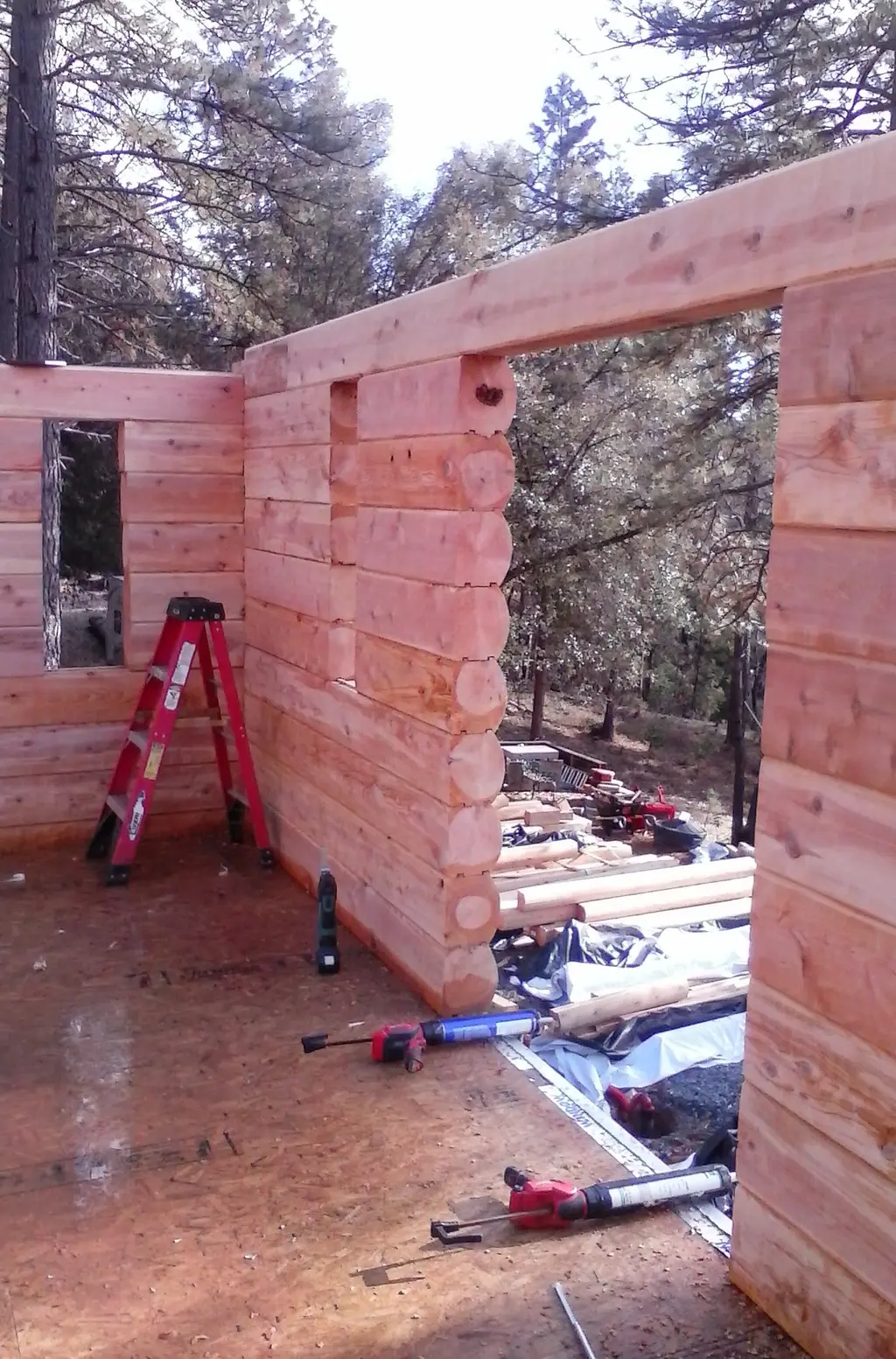 Log home