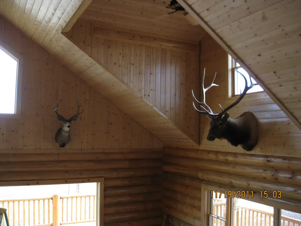 Log home