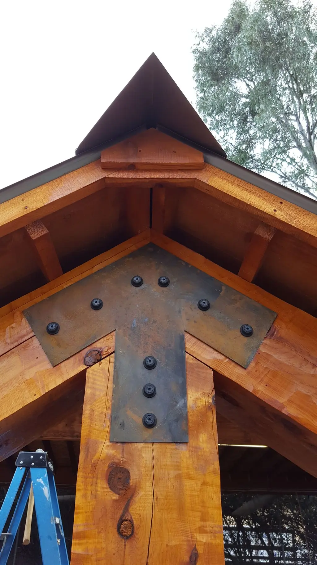 Log home