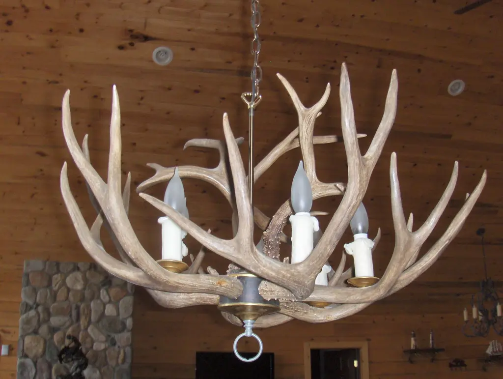 Log home