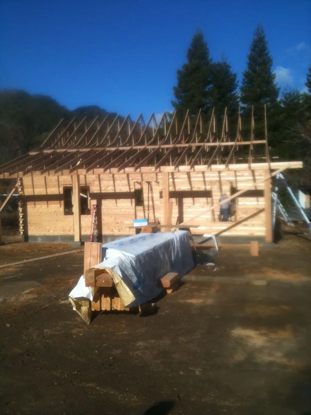 Log home