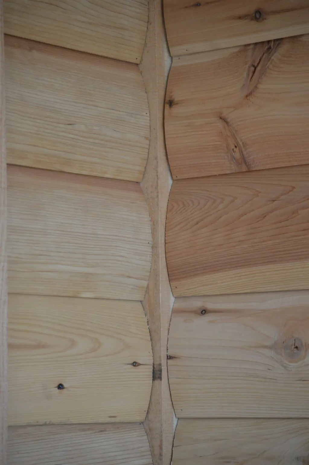 Log home