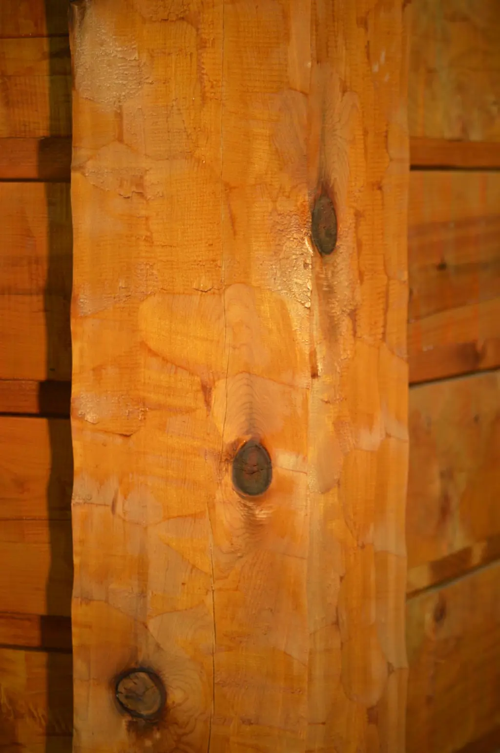 Log home
