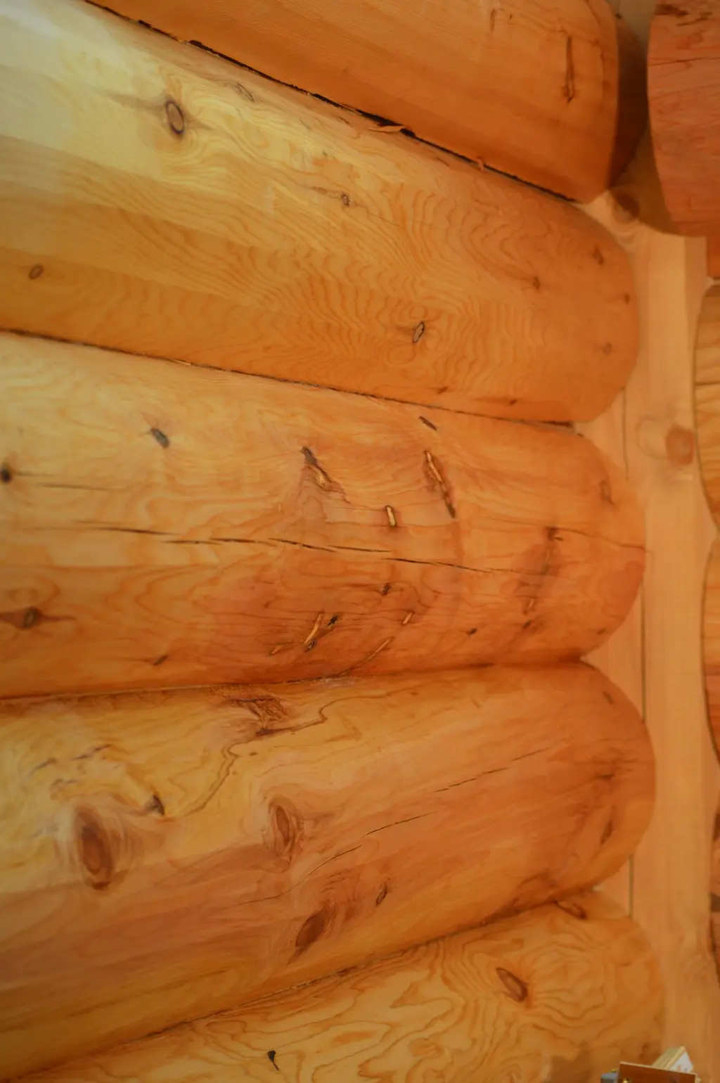 Log home