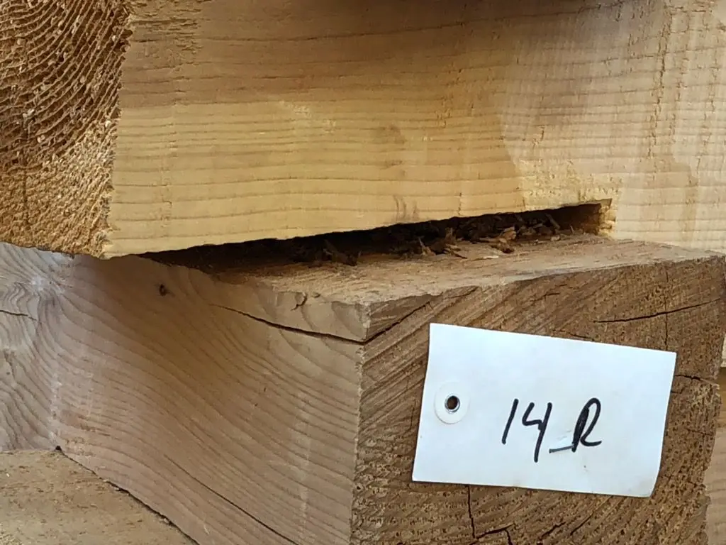Log home