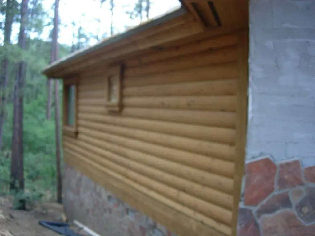 Log home