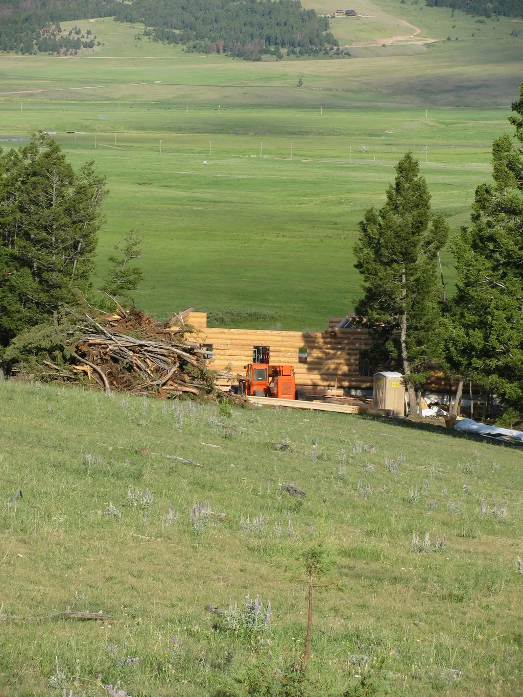 Log home