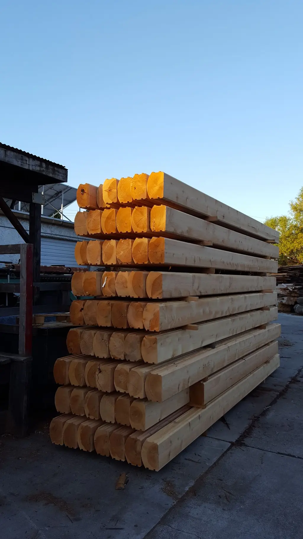 Log home