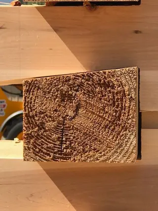 Log home
